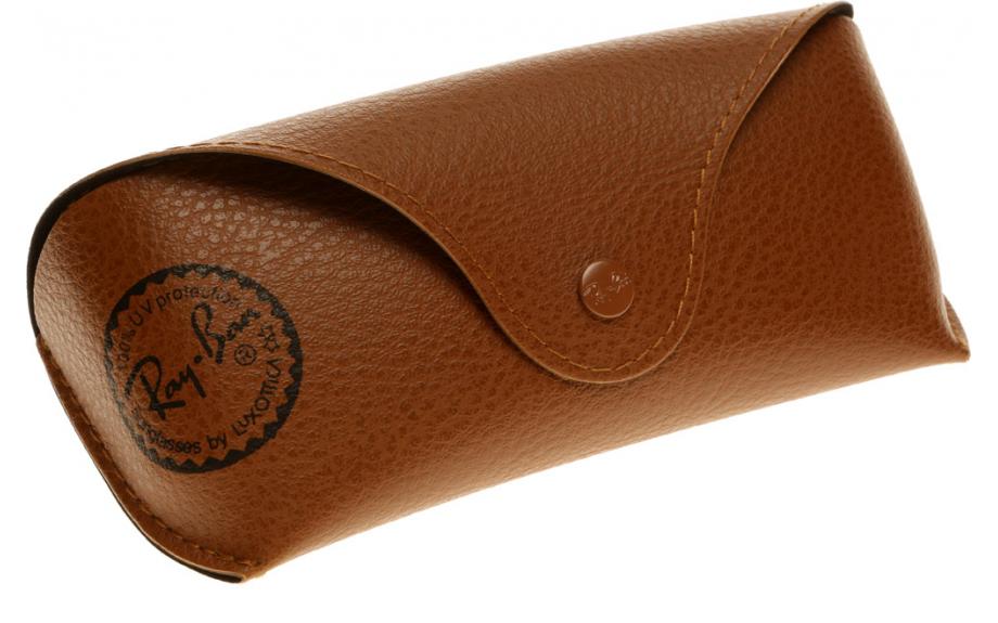 ray ban case